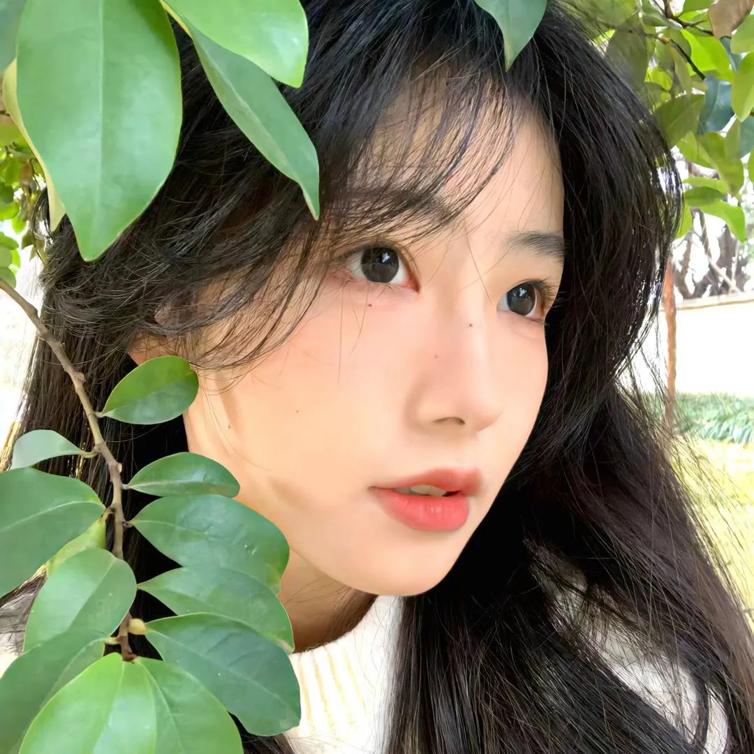 白夜婚礼